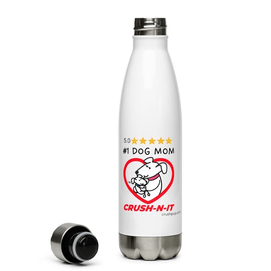 Stainless steel water bottle