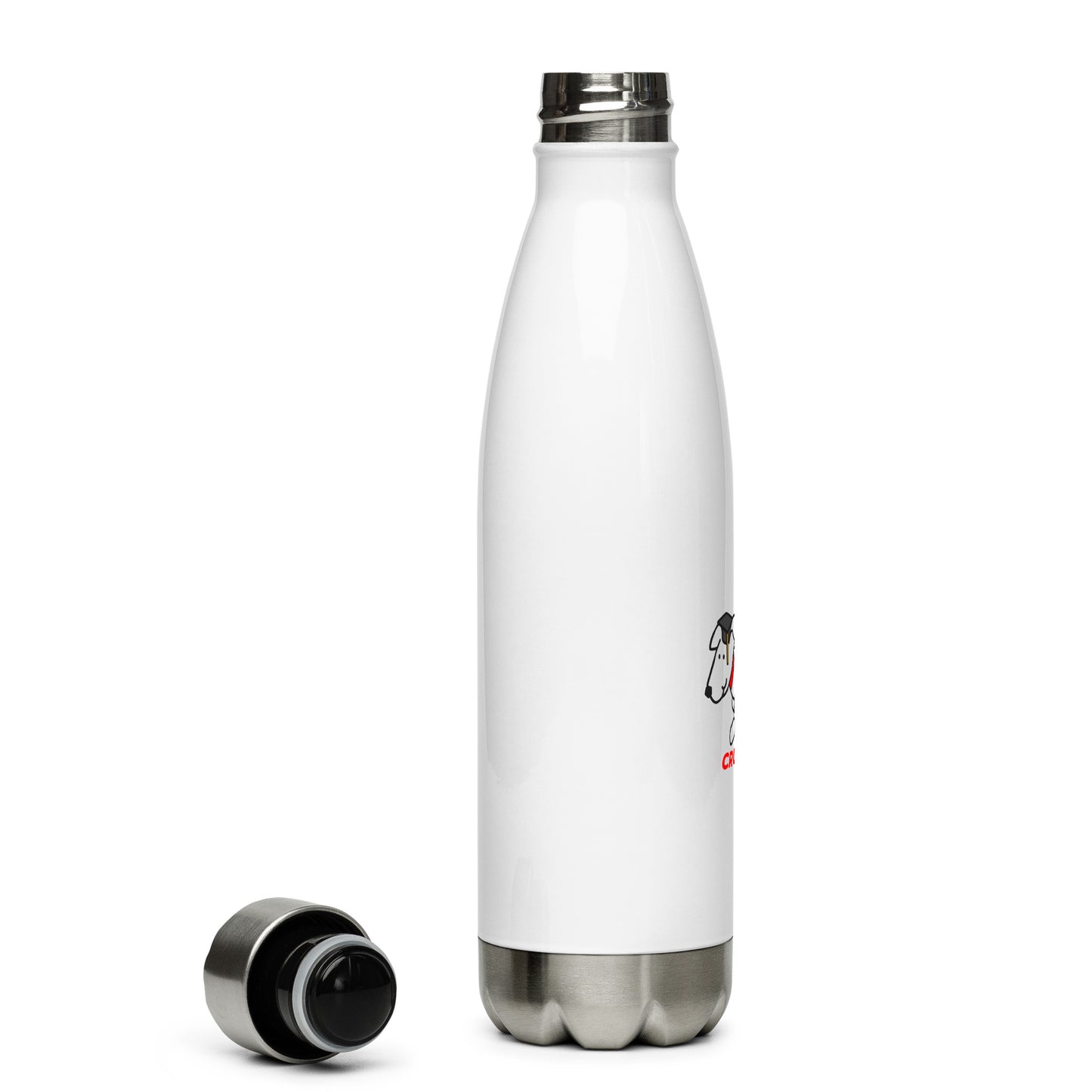 Stainless steel water bottle