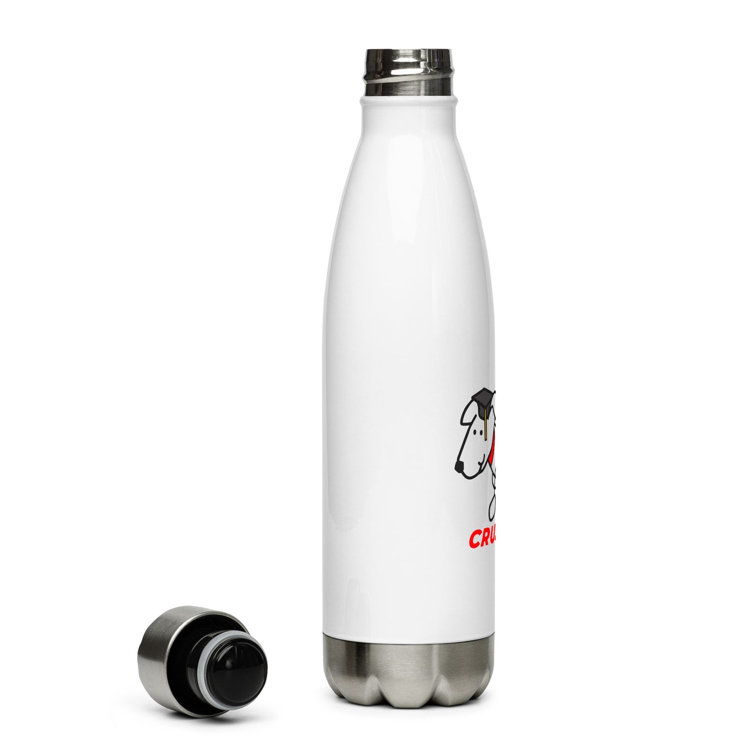 Stainless steel water bottle